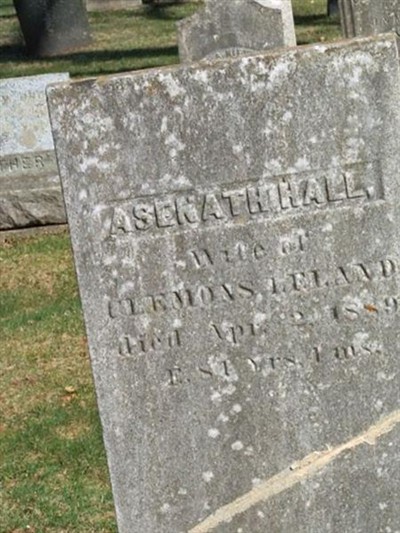 Asenath Leland on Sysoon