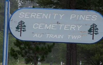 Au Train Township Cemetery on Sysoon