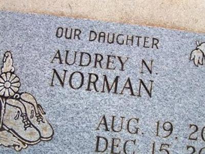 Audrey N Norman on Sysoon