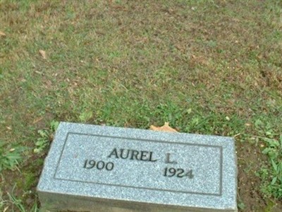 Aurel L Williams on Sysoon