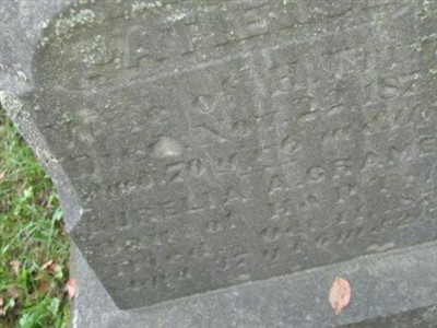 Aurelia A Trim Cramer on Sysoon