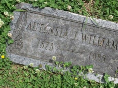 Autensia J Williams on Sysoon