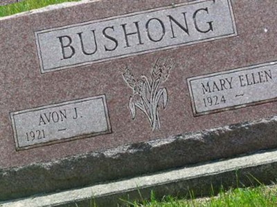 Avon J. Bushong on Sysoon