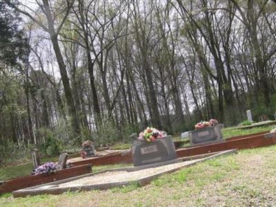 Bain Cemetery on Sysoon