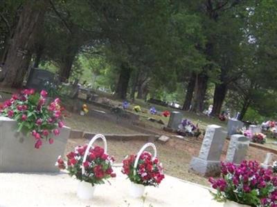 Bald Knob Cemetery on Sysoon