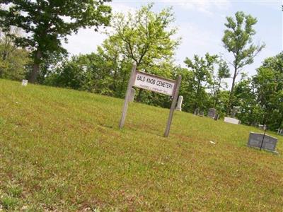 Bald Knob Cemetery on Sysoon