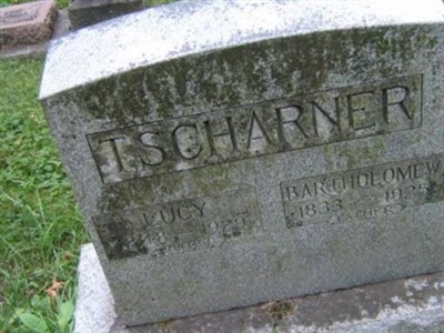 Bartholomew Tscharner on Sysoon