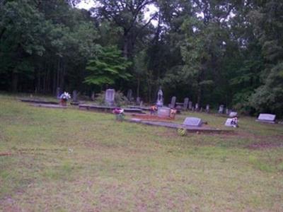 Bass Family Cemetery on Sysoon