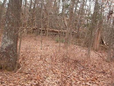 Baugh Cemetery on Sysoon