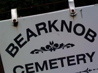 Bear Knob Cemetery on Sysoon