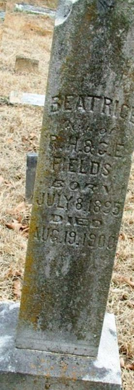 Beatrice Fields on Sysoon