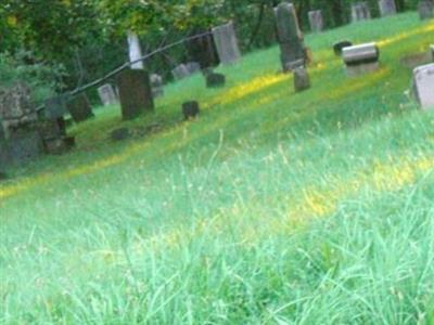 Bellinger Family Cemetery on Sysoon