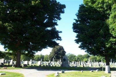 Belvidere Cemetery on Sysoon