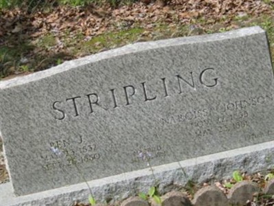 Ben J Stripling on Sysoon
