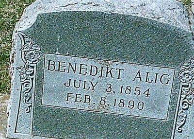 Benedikt Alig, Find a grave on Sysoon Benedikt Alig on Sysoon