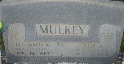 Benjamin W. Mulkey on Sysoon