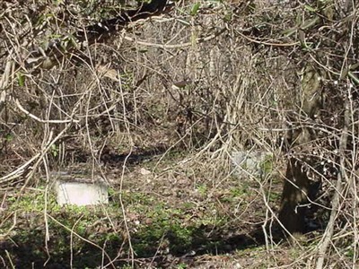 Benjestown Cemetery on Sysoon