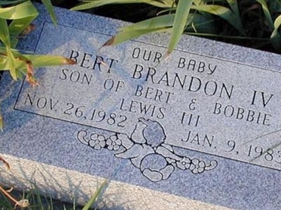 Bert Brandon Lewis, IV on Sysoon