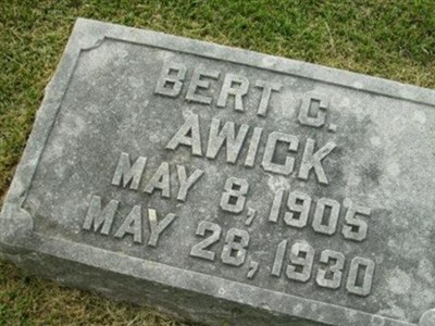 Bert C Awick on Sysoon