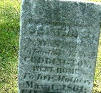 Bertha Coddington on Sysoon