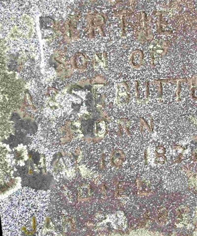 Bertie Button on Sysoon