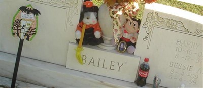 Bessie Applewhite Bailey on Sysoon