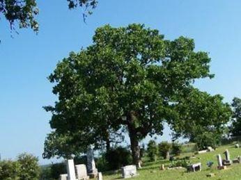 Beth Haven Cemetery on Sysoon