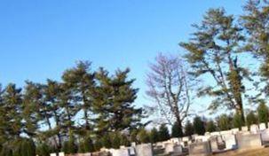 Beth Israel Cemetery on Sysoon