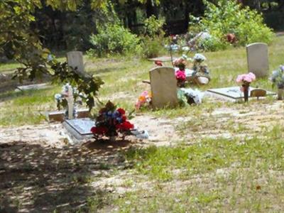 Bethel Baptist Church Cemetery on Sysoon