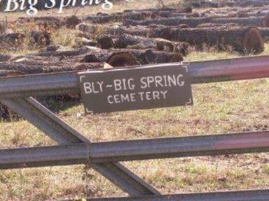 Big Springs Cemetery on Sysoon