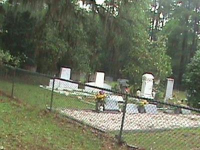 Bird Cemetery on Sysoon