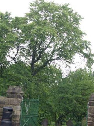 Blackhill Cemetery on Sysoon