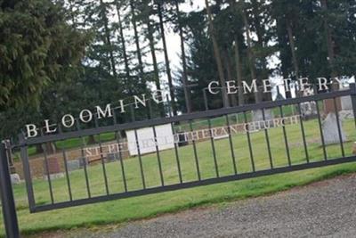 Blooming Cemetery on Sysoon