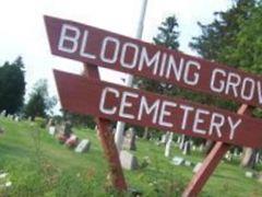 Blooming Grove Cemetery on Sysoon