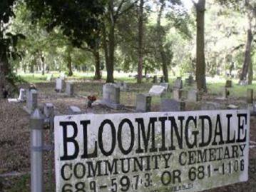 Bloomingdale Community Cemetery on Sysoon