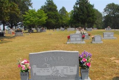 Bobby N. Davis on Sysoon