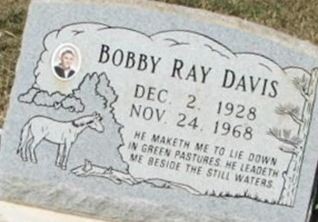 Bobby Ray Davis on Sysoon