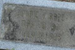 Bonnie K. Raper on Sysoon