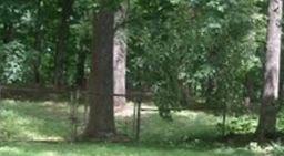 Boone Cemetery on Sysoon