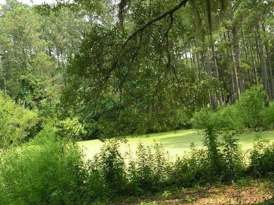 Botany Bay Plantation Grounds on Sysoon