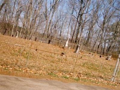 Brandon Family Cemetery on Sysoon