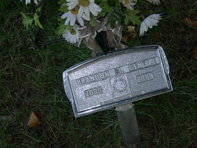 Brandon M. Gentile on Sysoon