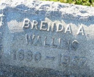 Brenda A. Anderson Walling on Sysoon