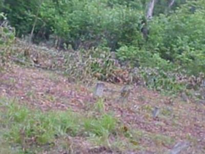 Brewer Cemetery on Sysoon