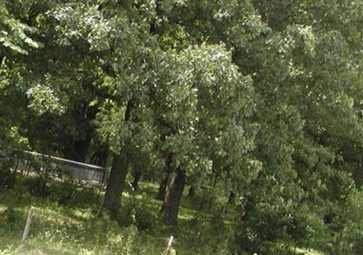 Brewster Simpson Cemetery on Sysoon