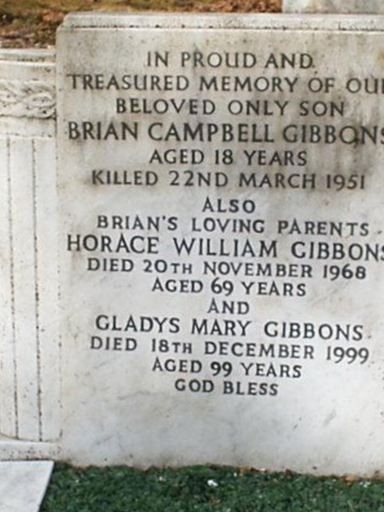 Brian Campbell Gibbons on Sysoon