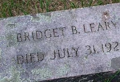 Bridget B. Leary on Sysoon