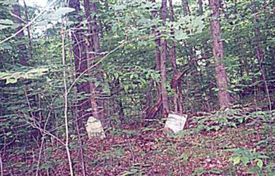 Bristol Cemetery on Sysoon