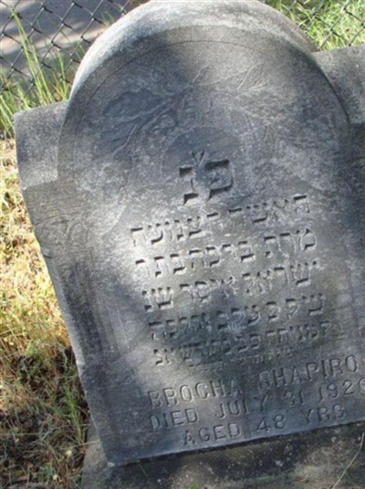 Brocha "Bertha" Shapiro on Sysoon
