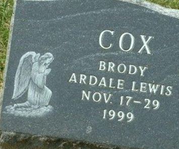 Brody Ardale Lewis Cox on Sysoon